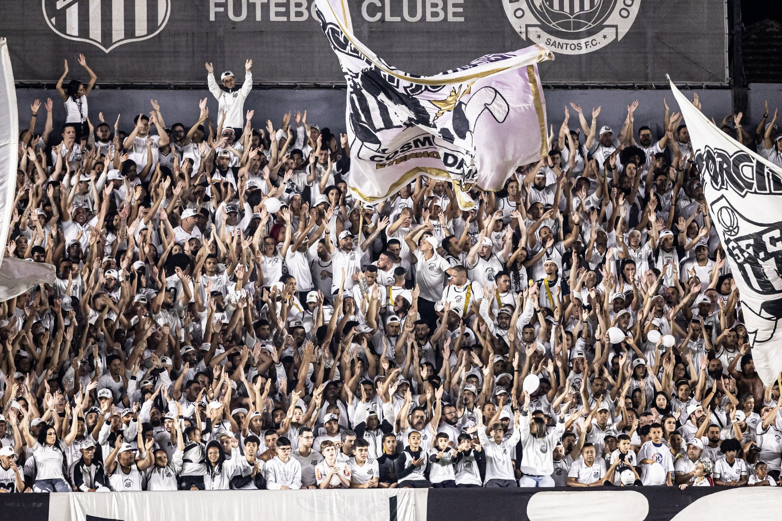 Torcida do Santos na Vila Belmiro Foto: Raul Baretta