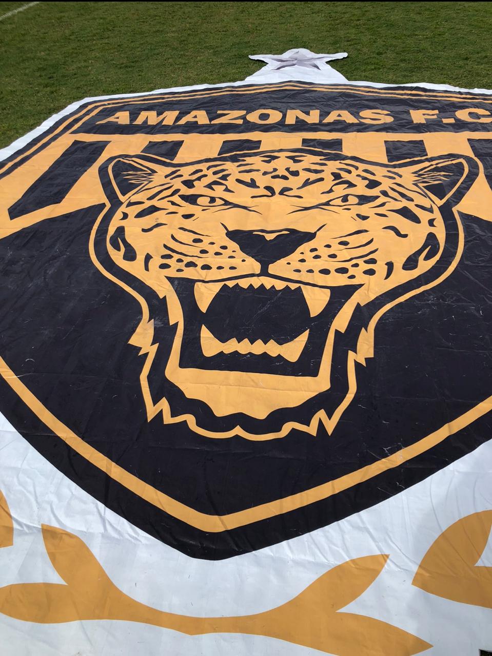 Escudo do Amazonas FC (Foto: Josias Muniz)